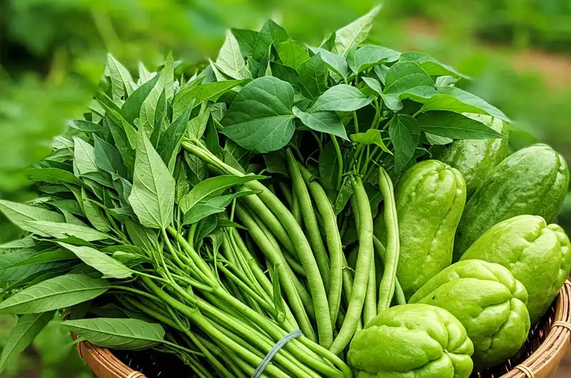 Woven basket filled with a fresh, mixed harvest of cost-effective tropical vegetables. Includes bunches of Kangkong, nutritious Sweet Potato leaves, long beans, and a Chayote fruit, representing a successful budget-friendly yield from a home garden in a warm, tropical climate.