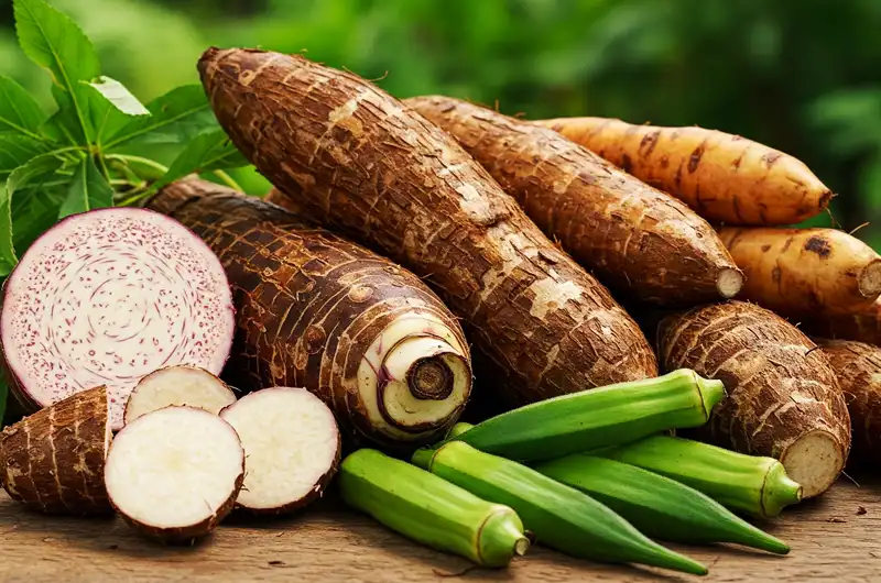 Tropical Food have Vegetables like Taro, cassava, yam, okra.