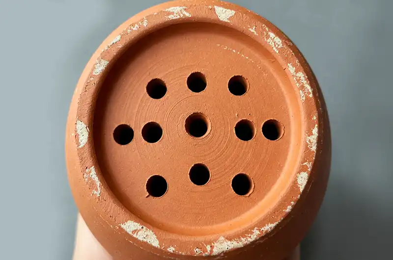 Underside of a terracotta pot emphasizing multiple essential drainage holes for container gardening tropical plants.