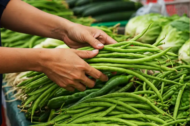Close-up of hands selecting fresh, firm, green yardlong beans from a vibrant display at an outdoor market, checking for quality.