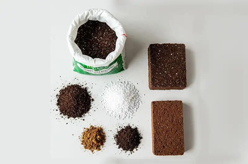 Essential soil amendments for tropical plant soil preparation: compost, perlite for drainage, coco coir for moisture, and organic nutrients.