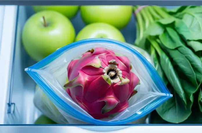 Red dragon fruit stored properly in a refrigerator's crisper drawer to maintain maximum freshness.