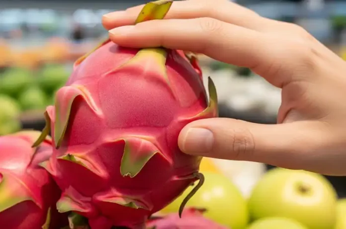 Hand gently testing a red dragon fruit for ripeness in a grocery store, showing how to pick the best one.