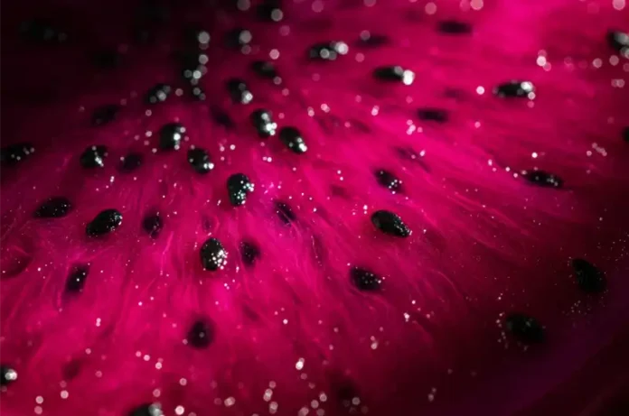 Close-up macro shot of red dragon fruit's vibrant flesh, symbolizing its rich antioxidant content from betacyanins.