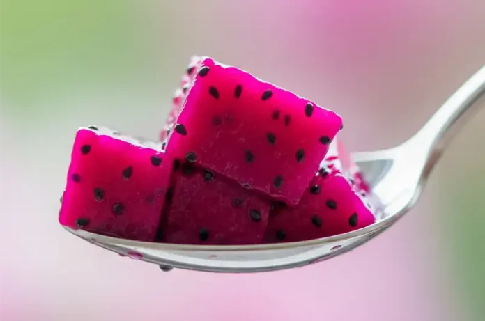 Close-up of a spoonful of juicy red dragon fruit flesh, illustrating its taste profile.