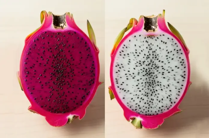 Side-by-side comparison: sliced red flesh dragon fruit versus white flesh dragon fruit, showing taste and nutrition differences.