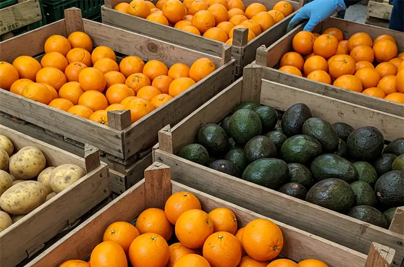 Crates of oranges neatly sorted by size and color, showcasing the results of agricultural product grading and standardization.