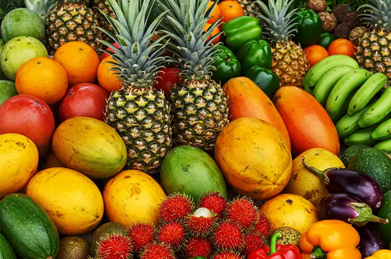 A colorful and abundant display of fresh tropical fruits and vegetables, including ripe mangoes, pineapples with their crowns, bright red papayas, green bananas in bunches, spiky rambutans, purple eggplants, and vibrant bell peppers. This image represents the rich agricultural biodiversity of tropical regions, the foundation of tropical food processing